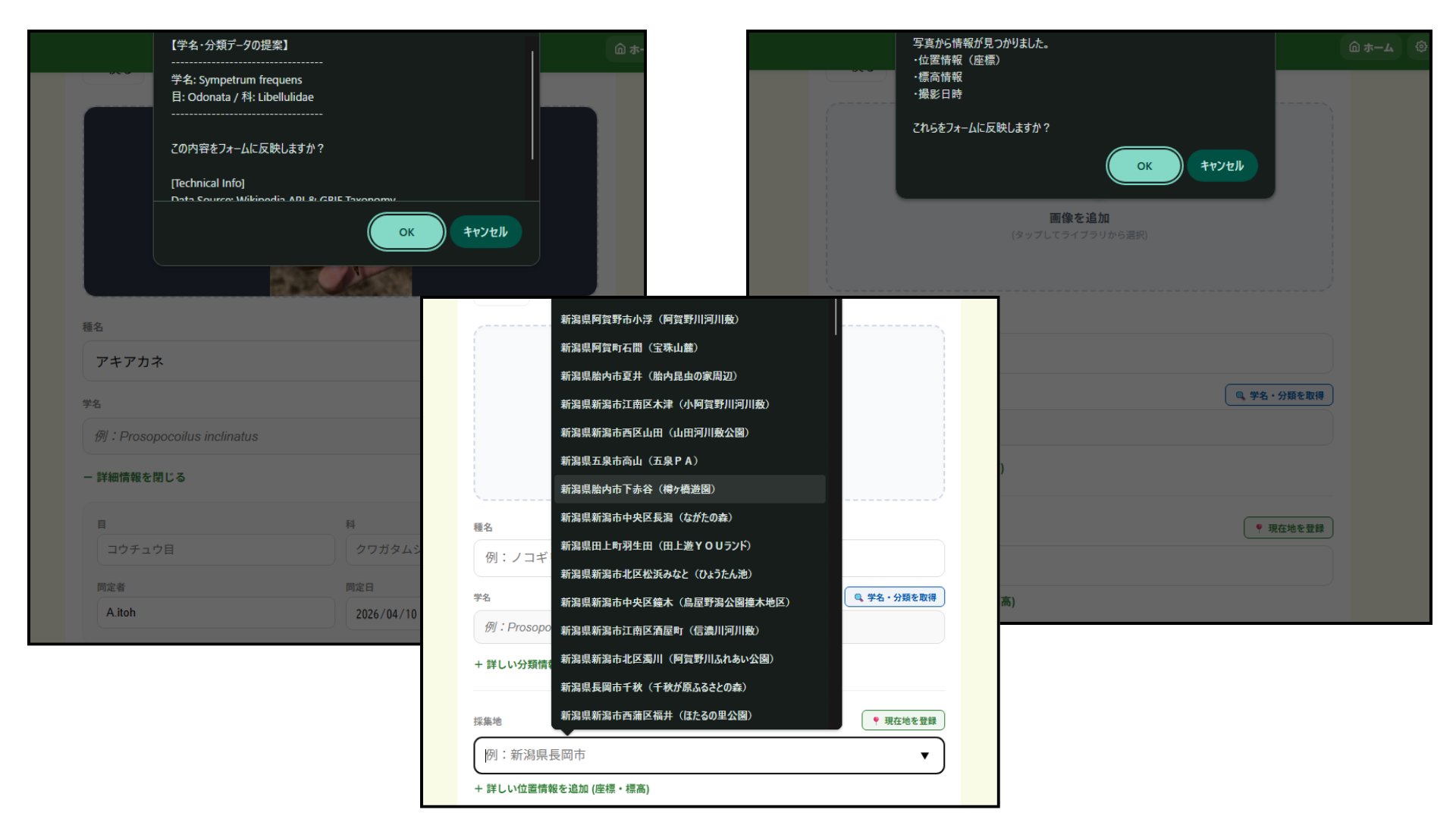 自動入力機能のプレビュー