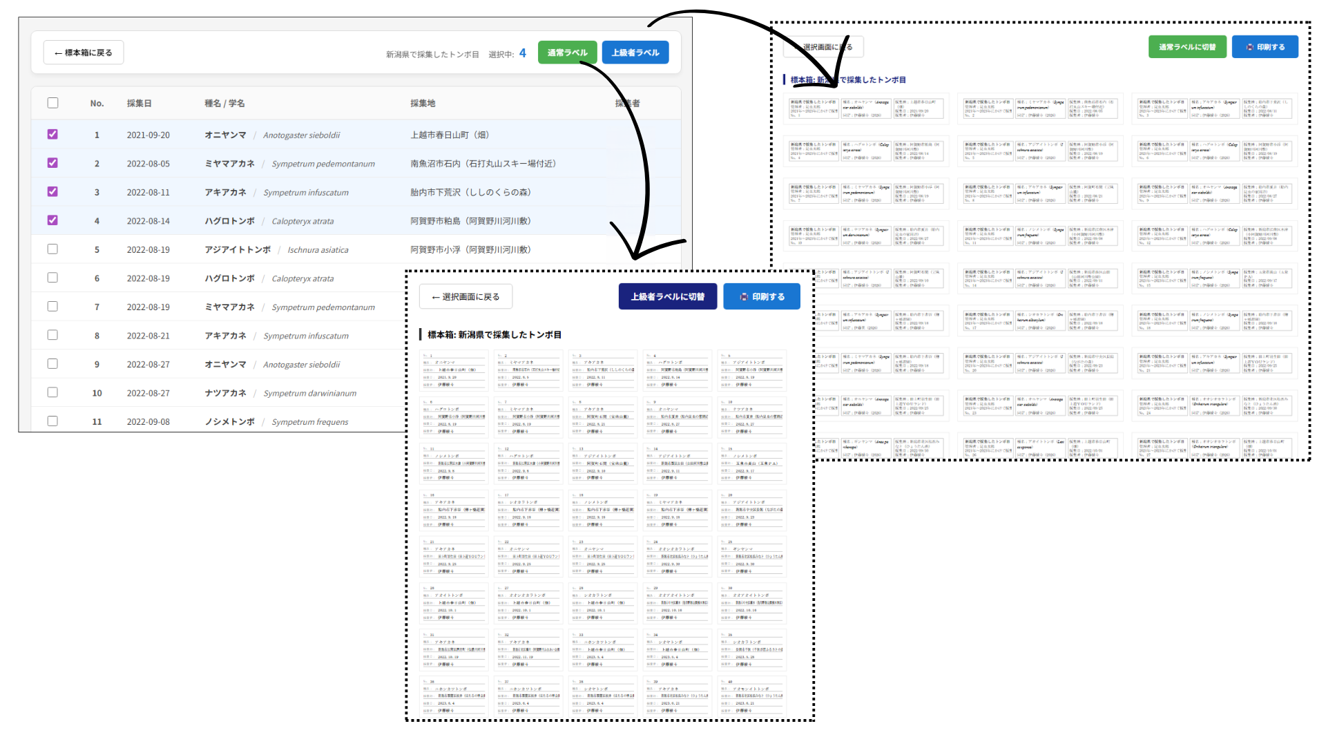 ラベル印刷プレビュー