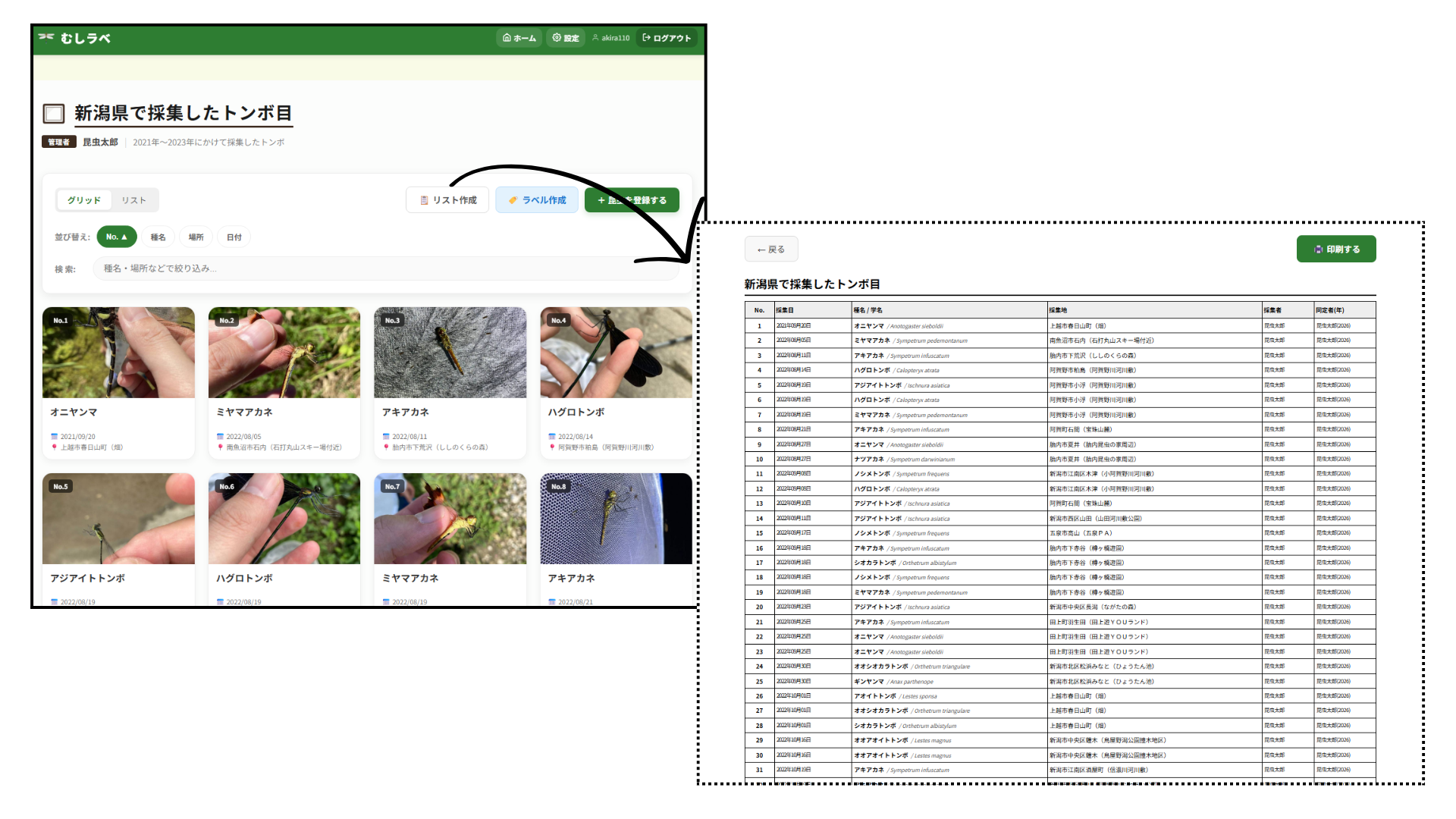 採集リストのプレビュー